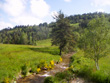 Ruisseau au Cheylard_l'Evêque